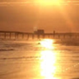 Meet your Posher, Sonja